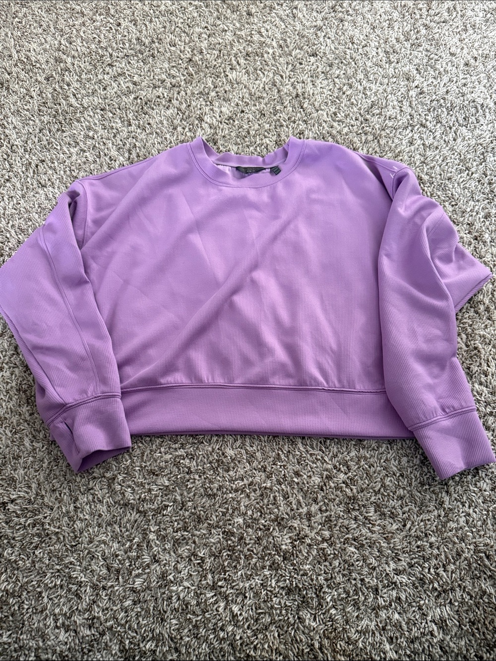 Danskin Lavender Cropped Crew Sweatshirt